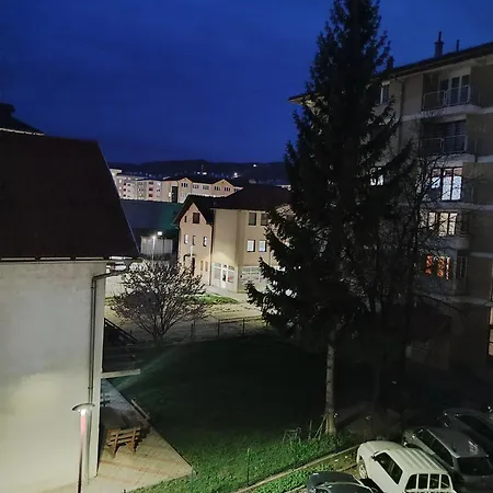 דירה 19 פאלה